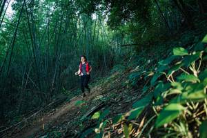 BIB: 
                            <button type="button" onclick="openModal(28125012)" class="btn btn-primary btn-sm float-right btn-popup" data-toggle="modal" data-target=".modal-high-quality">
                        <i class="fas fa-shopping-cart"></i> Add to Cart
                    </button>
                                            <button type="button" onclick="isThisMe(28125012, true)" class="btn btn-success btn-sm float-right btn-popup btn-isme hidden" data-toggle="tooltip" data-placement="bottom" title="นี่คือรูปของคุณใช่ไหม คลิกที่นี่เพื่อเอาเข้าอัลบั้ม">
                        <i class="fas fa-plus"></i> Add to album
                    </button>
                    <button type="button" onclick="isThisMe(28125012, false)" class="btn btn-warning btn-sm float-right btn-popup btn-isnotme hidden">
                        <i class="fas fa-ban"></i> Remove from album
                    </button>